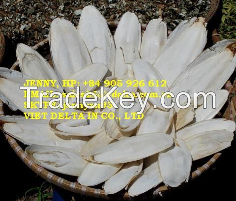 Cuttlefish bone high calcium for pet food birds, reptiles, tortise, budgies Jenny +84 905 926 612