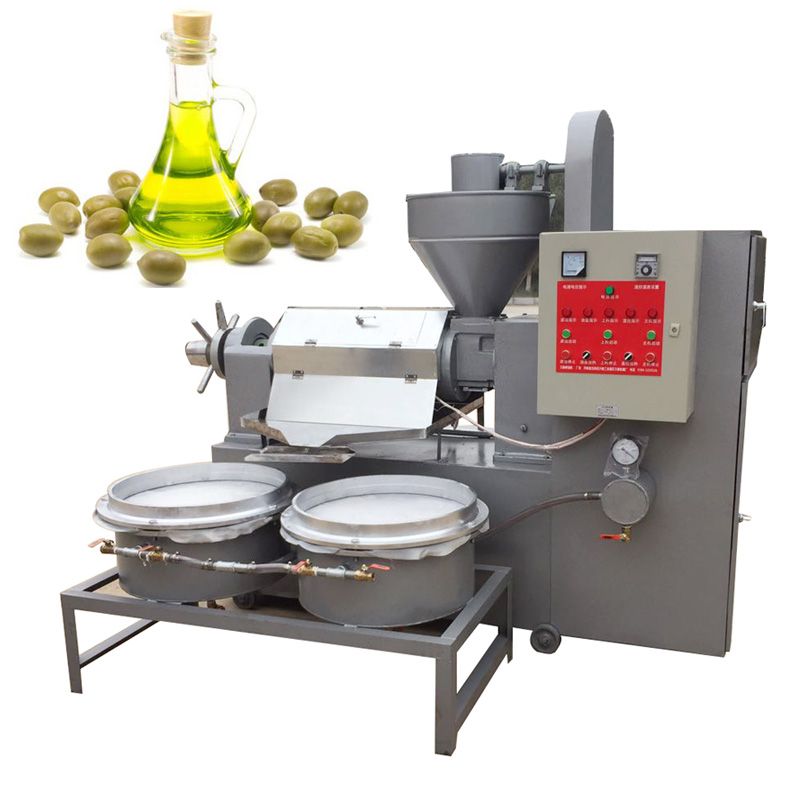 Mini Coffee Bean Oil Press Processing Machine Pakistan