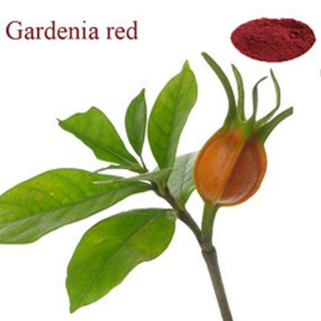 Gardenia Red Color