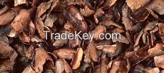 cocoa shell