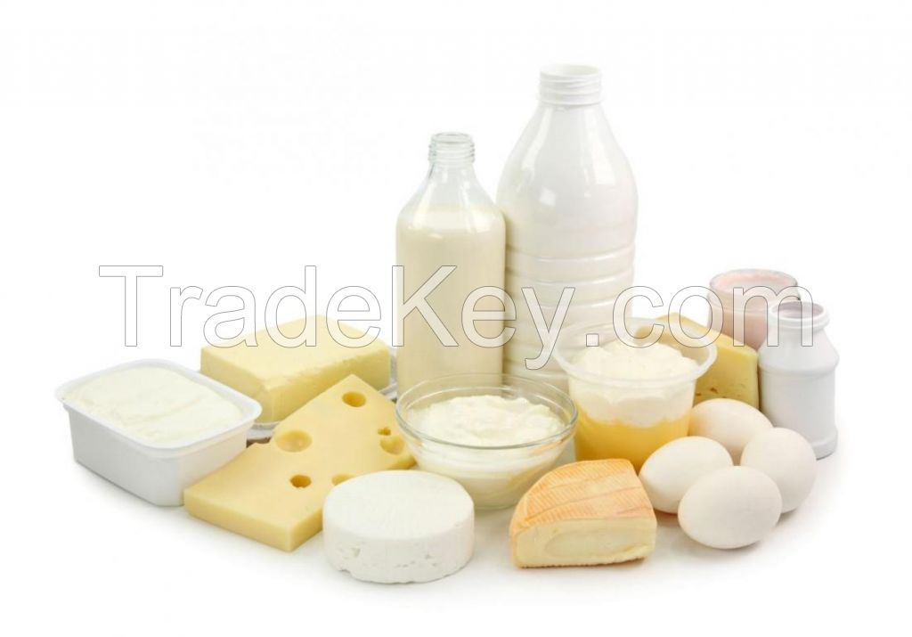 Dairy Products