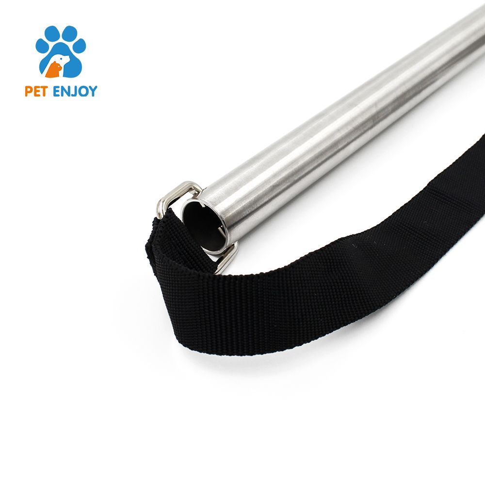 Hot Selling Hands Free Dog Running Exerciser Bike Leash Dog Traction R