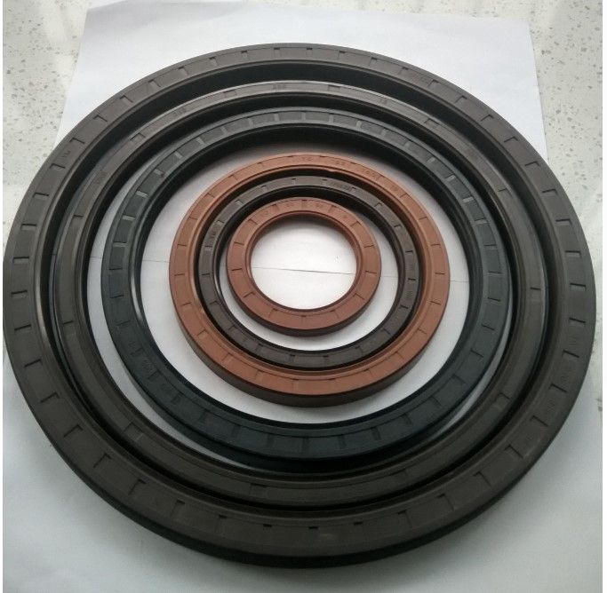 Rubber Oil Seal NBR/Silicone/Viton/FKM/FPM/EPDM Material Tc/Sc/Tb/Sb Oil Seal