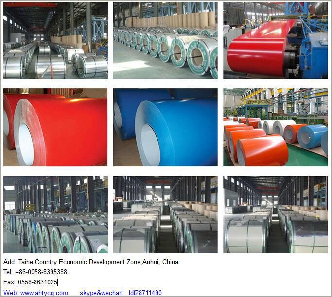 color coated steel coil