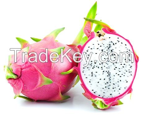 Premium Quality Dragon Fruit - Red/White Pulp Dragon Fruit