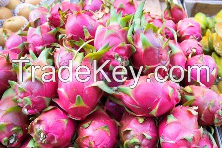 Premium Quality Dragon Fruit - Red/White Pulp Dragon Fruit