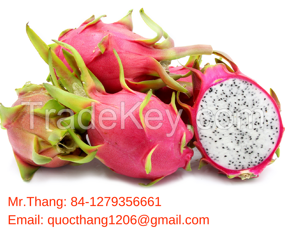 Red and White Flesh Dragon Fruit - 100% Fresh Dragon Fruit