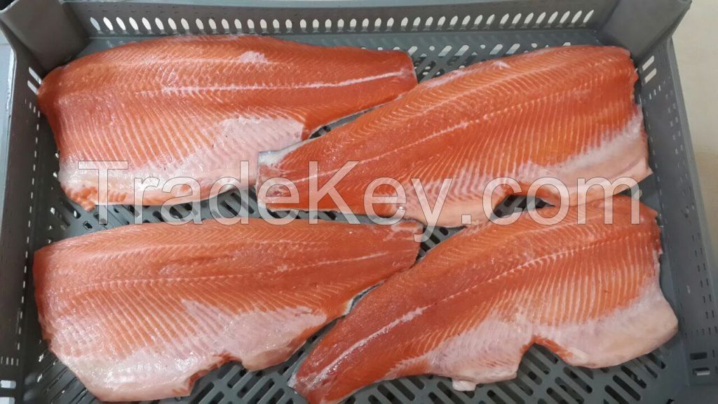 Salmon Trout