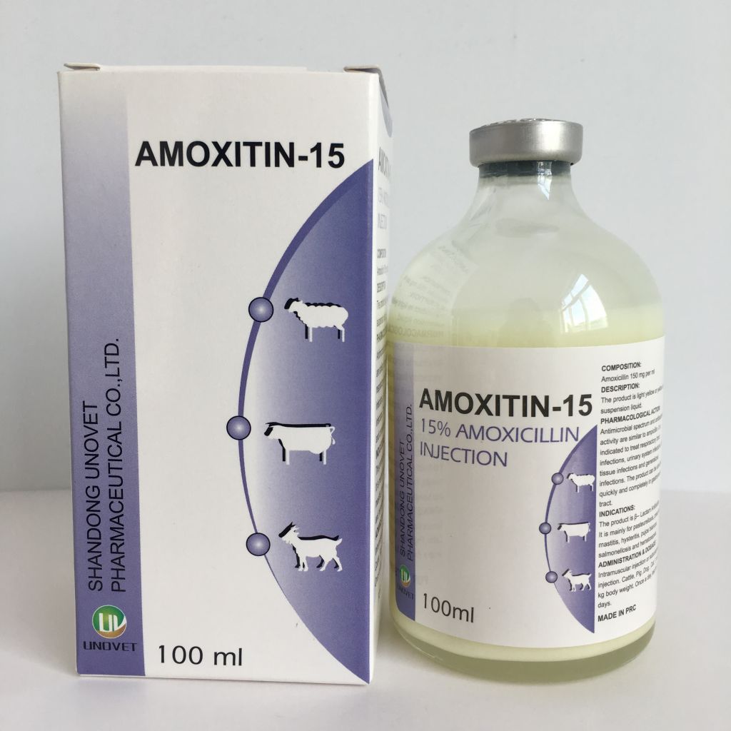 veterinary medicine injection fllying high 15% amoxicillin suspension