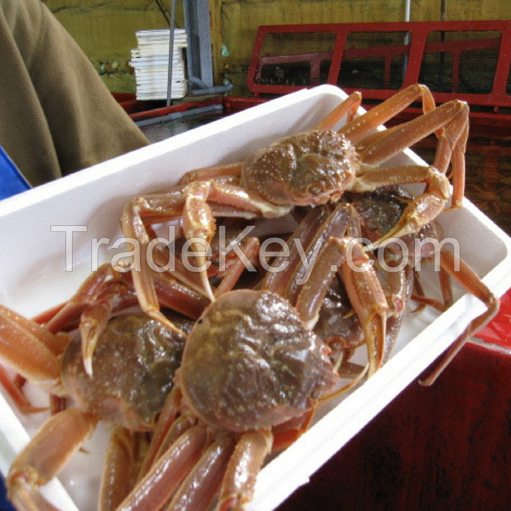 Live Snow Crab / Live Red King Crabs / Live Lobsters / Canadian Lobsters 