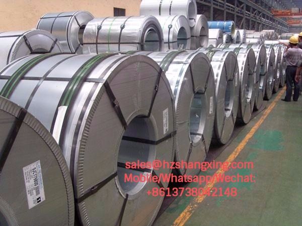 Prepainted Galvanized Steel Coils ( PPGI )