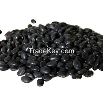 black kidney beans dry black beans