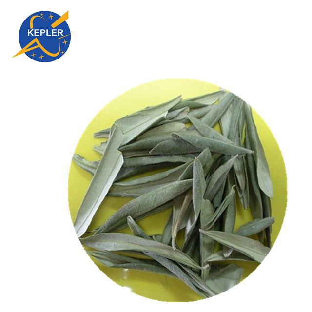 Olive Leaf Extract 