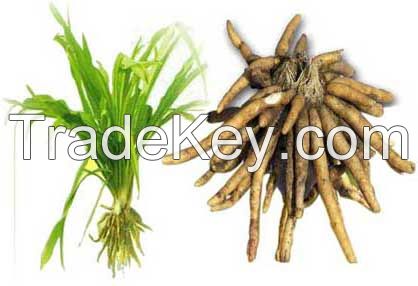 All kind of Ayurvedic, Medicinal and Raw Herbs