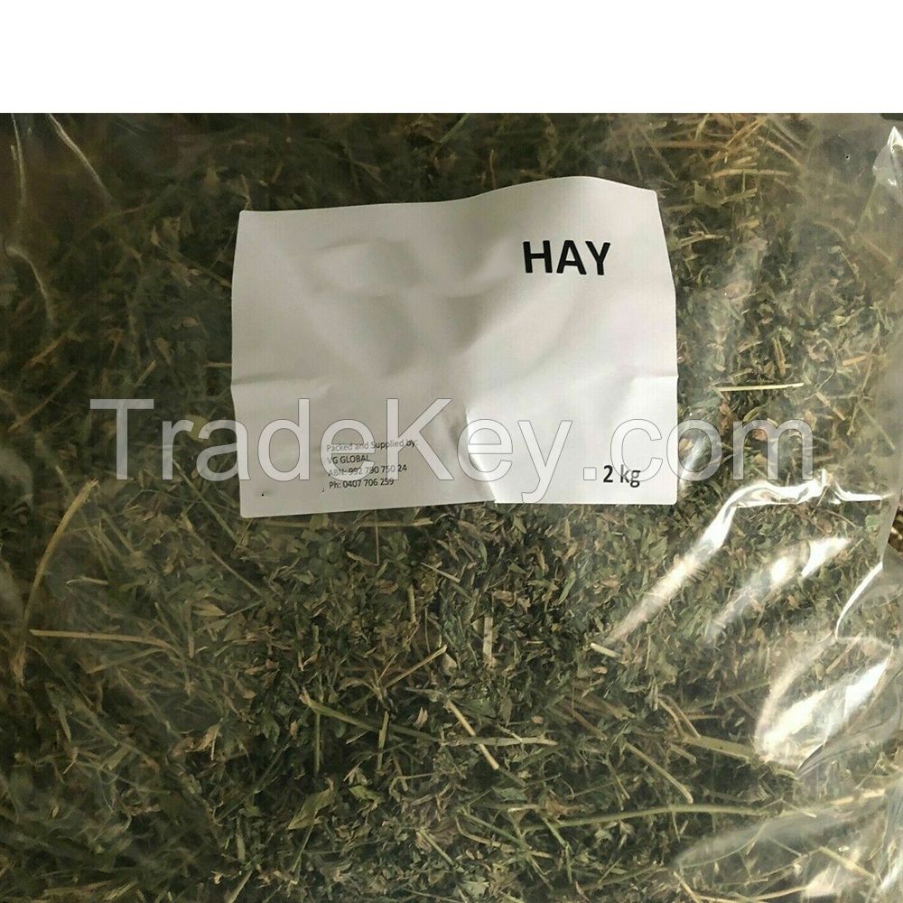 Good quality Alfalfa hay animal feed 