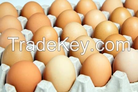 Fresh Chicken Eggs