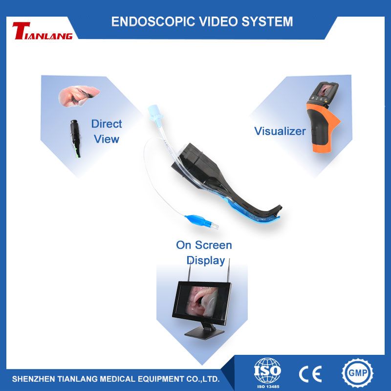 Anesthetic Intubation Video Laryngoscope Difficult Airway