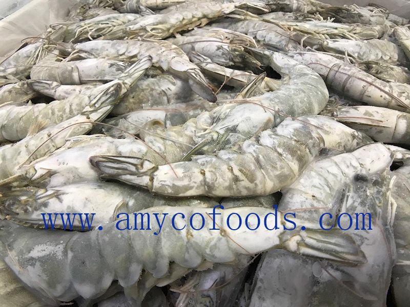 Frozen Raw PD Vannamei Shrimp Good Quality Good Price