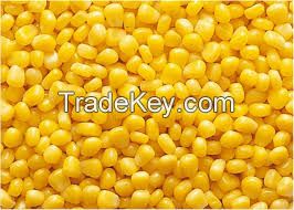 Yellow Corn from Russia (North Osetia)