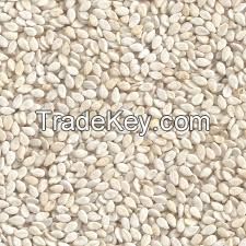 Sesame Seeds