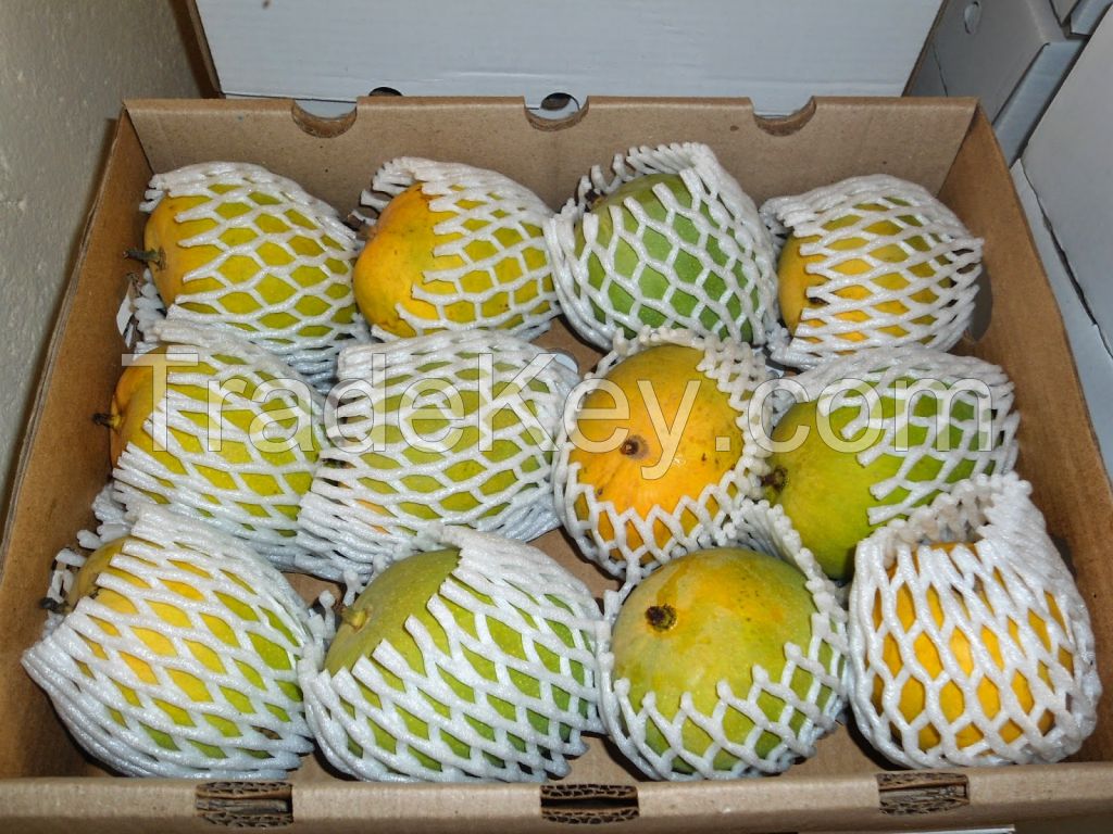 TOTAPURI MANGO 