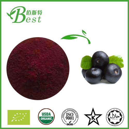 Aronia Chokeberry Extract