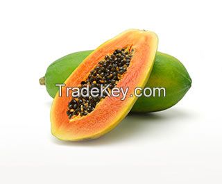 papaya | Fresh Papaya Fruit Exporter