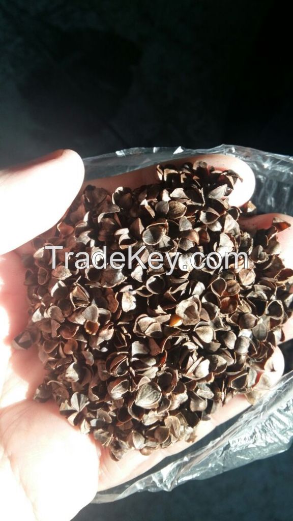 Buckwheat husks