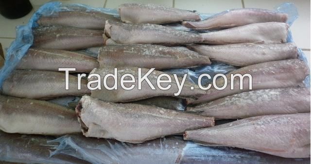 Frozen Hake fish