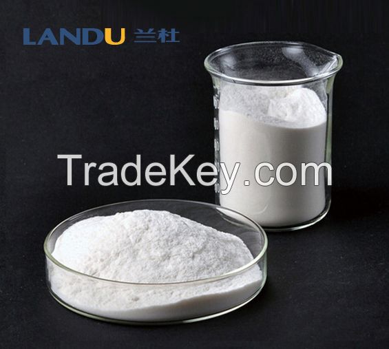  Redispersible Polymer Powder (RDP)