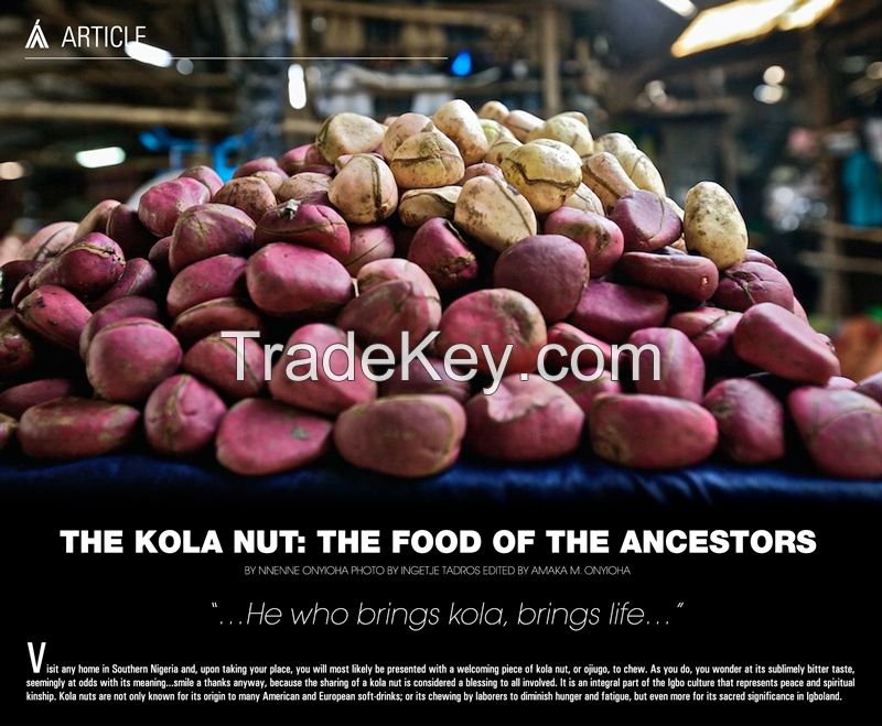 Kola Nut