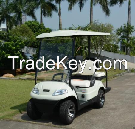  2 PASSENGER CUTE GOLF CART WITH HIGH QUALITY EV CONVERSION KIT FOR CAR