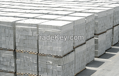 Fly Ash Bricks