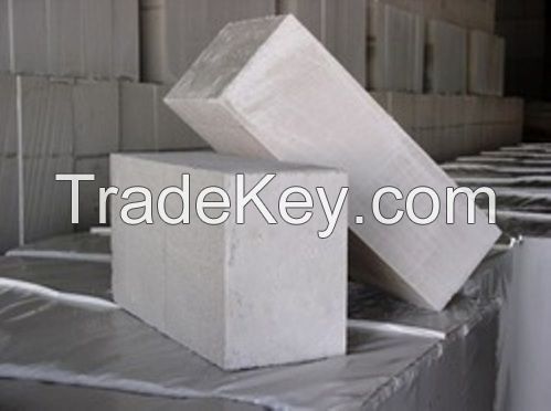 Fly Ash Bricks