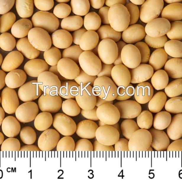 Soybeans