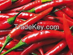 Chilli Pepper