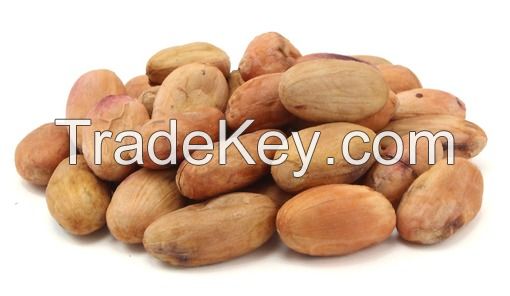 Cocoa Beans