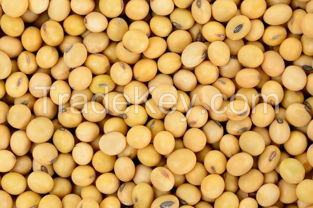 Soybeans