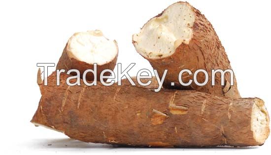 Cassava