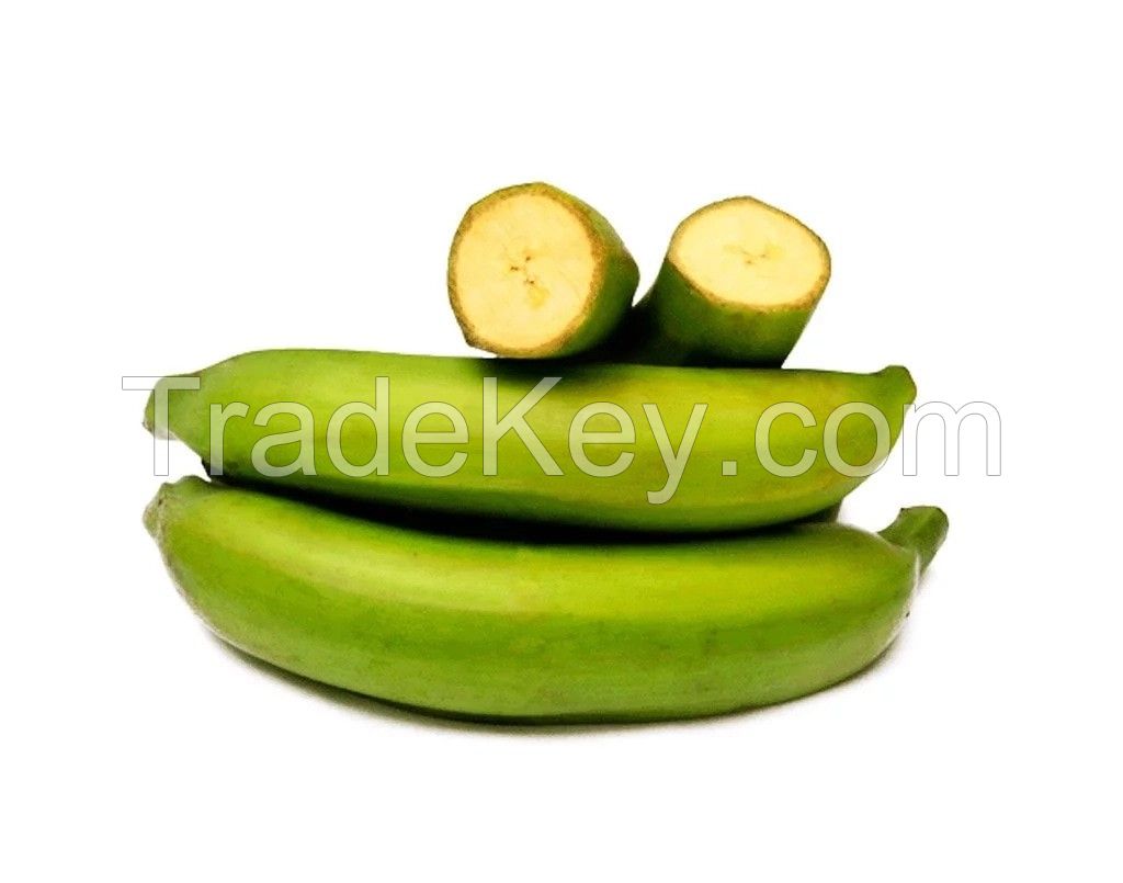 Organic Green Plantain