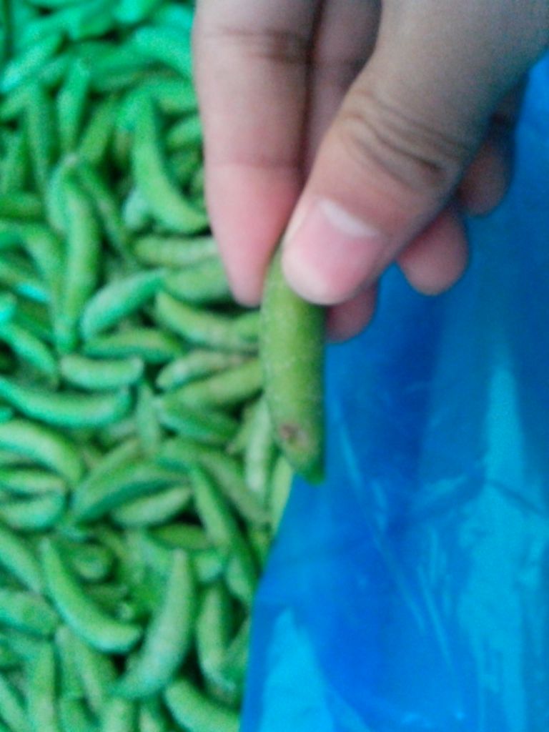 frozen sugar snap pea