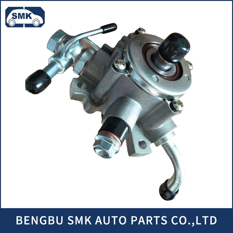 BMW BENZ VW NISSAN TOYOTA Car Power Steering Pump Supplier from China