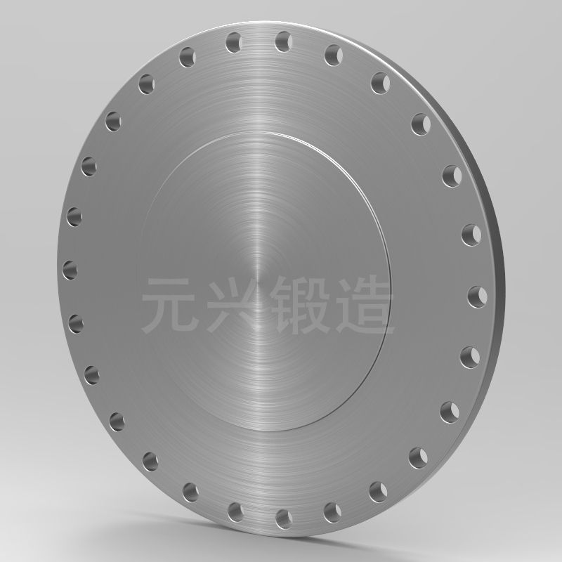 standard stainless steel plate forged blind flange