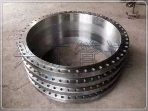 flange RF WN class150 class 300