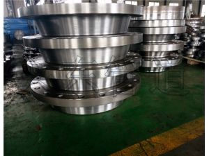 flange RF WN class150 class 300