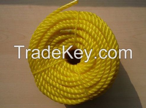 PP Danline Ropes