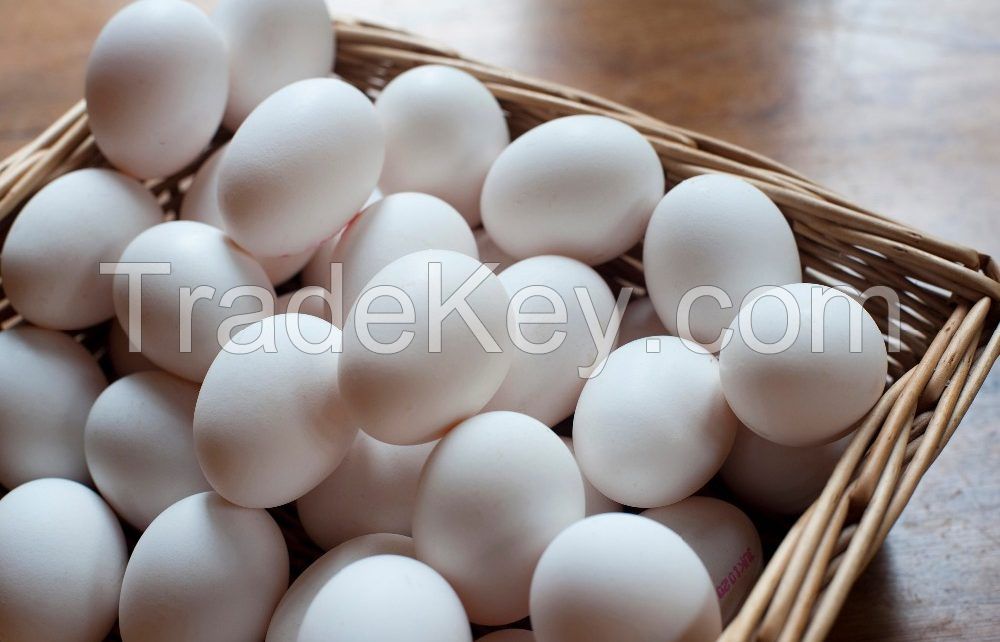 White Table Eggs