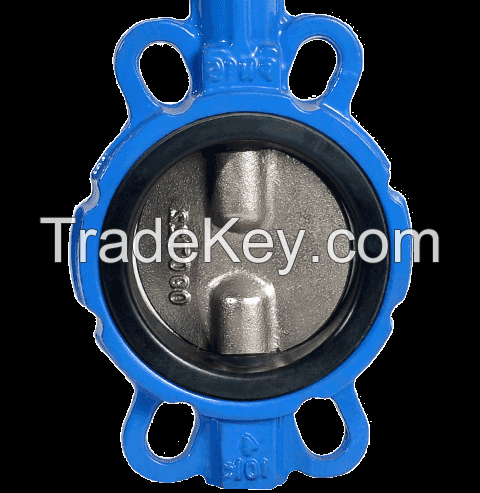 Double stem wafer butterfly Valve