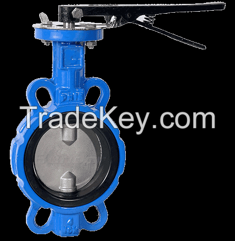 Double stem wafer butterfly Valve