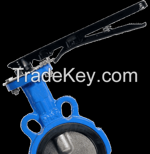 Double stem wafer butterfly Valve